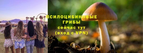 спайс Алексеевка