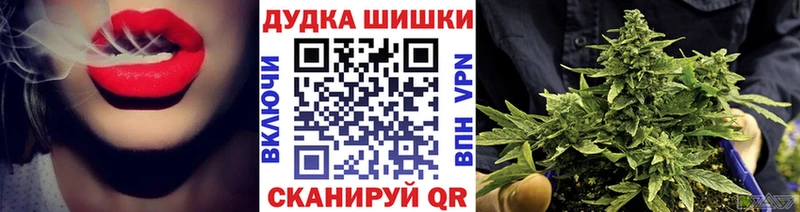 Шишки марихуана Amnesia  Новодвинск 